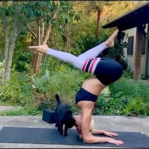 Bombshell Sportswear Thigh-Highs